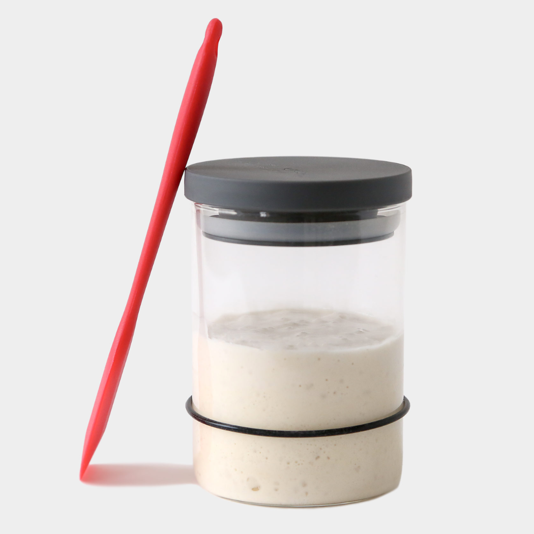 Sourdough Starter Kit