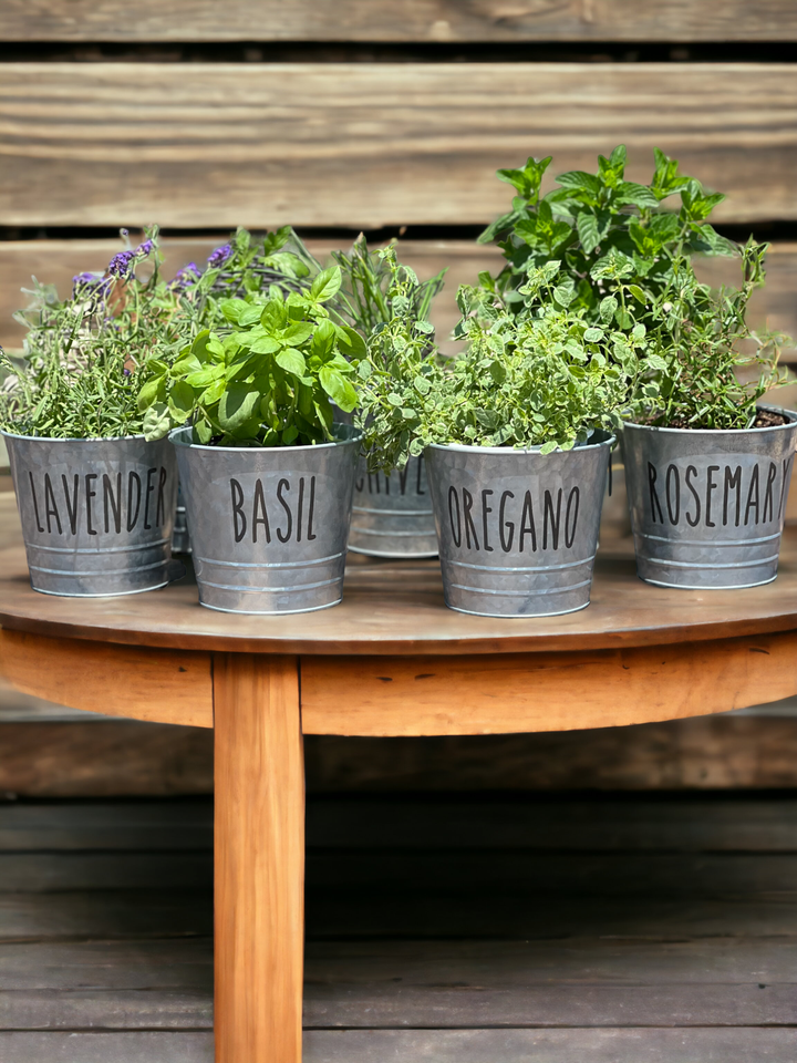 Basil Farmhouse Herb Bucket Planter