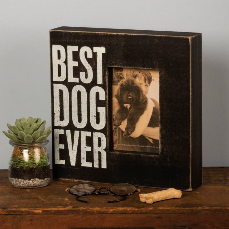 Box Frame - Best Dog Ever