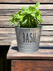 Basil Farmhouse Herb Bucket Planter