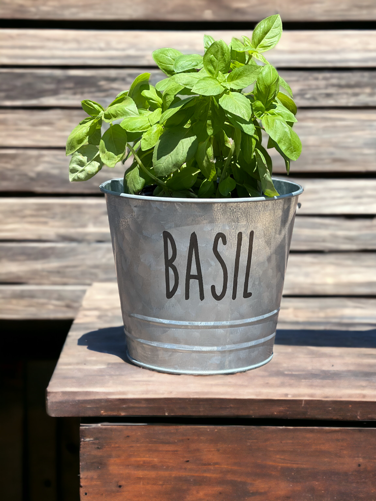 Basil Farmhouse Herb Bucket Planter